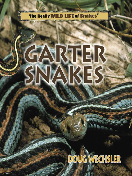 Title details for Garter Snakes by Doug Wechsler - Available